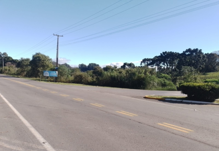 Prefeitura de Farroupilha solicita ao DAER corte de árvores em toda a Rodovia dos Romeiros